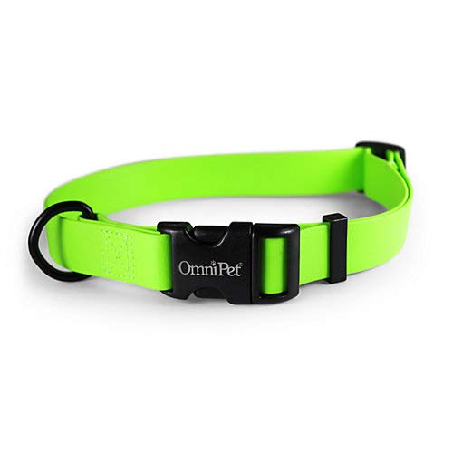 OmniPet Karnevals-Hundehalsband, Limettengrün, 2,5 cm breit, passend für Halsumfang von 45,7–66 cm, wasserdicht und geruchsabweisend, Beta BioThane Haustierhalsband, hergestellt in den USA OmniPet Karnevals-Hundehalsband, Limettengrün, 2,5 cm breit, passend für Halsumfang von 45,7–66 cm, wasserdicht und geruchsabweisend, Beta BioThane Haustierhalsband, hergestellt in den USA von OmniPet