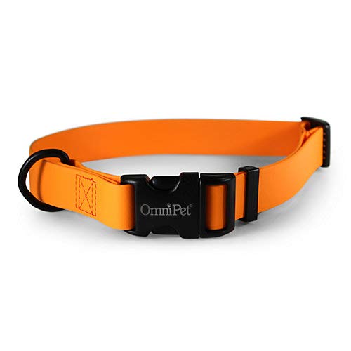 OmniPet Karnevals-Hundehalsband, Mandarine, 1,9 cm breit, passend für Halsumfang von 35,6 - 50,8 cm, wasserdicht und geruchsabweisend, Beta BioThane Haustierhalsband, hergestellt in den USA von OmniPet