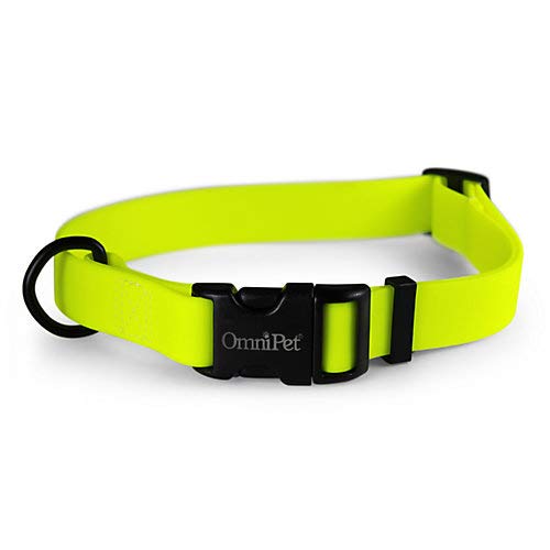 OmniPet Karnevals-Hundehalsband, Neongelb, 2,5 cm breit, passend für Halsumfang von 45,7–66 cm, wasserdicht und geruchsabweisend, Beta BioThane Haustierhalsband, hergestellt in den USA von OmniPet