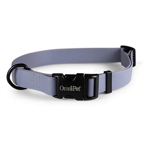 OmniPet Karnevals-Hundehalsband, grau, 2,5 cm breit, passend für Halsumfang von 45,7–66 cm, wasserdicht und geruchsabweisend, Beta BioThane Haustierhalsband, hergestellt in den USA OmniPet Karnevals-Hundehalsband, grau, 2,5 cm breit, passend für Halsumfang von 45,7–66 cm, wasserdicht und geruchsabweisend, Beta BioThane Haustierhalsband, hergestellt in den USA von OmniPet