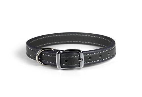 OmniPet Luxe Premium-Leder-Hundehalsband, Grau, 1,27 cm breit, ultraweich und verstellbar, passend für Halsumfang von 19,1 cm - 24,1 cm, Gesamtlänge 30,5 cm OmniPet Luxe Premium-Leder-Hundehalsband, Grau, 1,27 cm breit, ultraweich und verstellbar, passend für Halsumfang von 19,1 cm - 24,1 cm, Gesamtlänge 30,5 cm von OmniPet