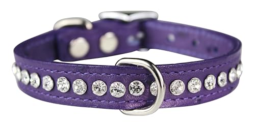 OmniPet Signature Hundehalsband, Leder, Kristall, Straußenmaserung, 25,4 cm, afrikanisches Violett OmniPet Signature Hundehalsband, Leder, Kristall, Straußenmaserung, 25,4 cm, afrikanisches Violett von OmniPet