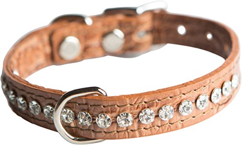 OmniPet Signature Hundehalsband, Leder, Kristall und Leder, 12", Krokodilimitat, Mokka OmniPet Signature Hundehalsband, Leder, Kristall und Leder, 12", Krokodilimitat, Mokka von OmniPet
