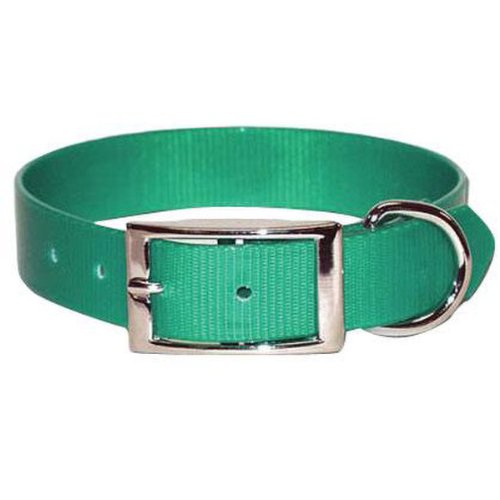 OmniPet SunGlo Normales Hundehalsband, 2,5 cm breit, passend für Halsumfang von 47 - 55,9 cm, lebendige Farben und robuste Konstruktion, für aktive Hunde, Grün OmniPet SunGlo Normales Hundehalsband, 2,5 cm breit, passend für Halsumfang von 47 - 55,9 cm, lebendige Farben und robuste Konstruktion, für aktive Hunde, Grün von OmniPet
