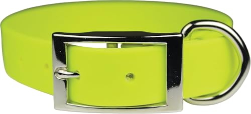 Zeta Regular Hundehalsband, 1 x 30, Neongelb Zeta Regular Hundehalsband, 1 x 30, Neongelb von OmniPet