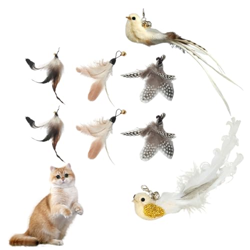 Omnikryp 8 Artikel Katzenspielzeug Feder, Katzenangel, Katzenangel Ersatzfedern, Katzenspielzeug Vogel, Interaktives Katzen Spielzeug mit Glocke, für Kätzchen und Katzen Omnikryp 8 Artikel Katzenspielzeug Feder, Katzenangel, Katzenangel Ersatzfedern, Katzenspielzeug Vogel, Interaktives Katzen Spielzeug mit Glocke, für Kätzchen und Katzen von Omnikryp
