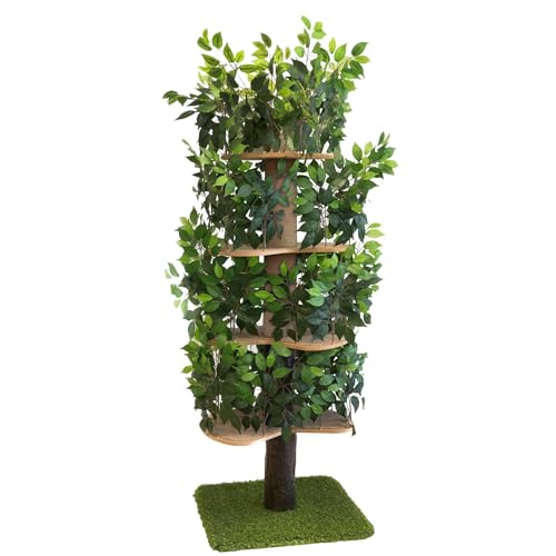 On2 Pets Katzenbaum mit Blättern, hergestellt in den USA, Haus & Aktivitätsbaum, mehrstöckige Katzenhütte für Indoor-Katzen (quadratischer Boden, XL Grün) On2 Pets Katzenbaum mit Blättern, hergestellt in den USA, Haus & Aktivitätsbaum, mehrstöckige Katzenhütte für Indoor-Katzen (quadratischer Boden, XL Grün) von On2 Pets