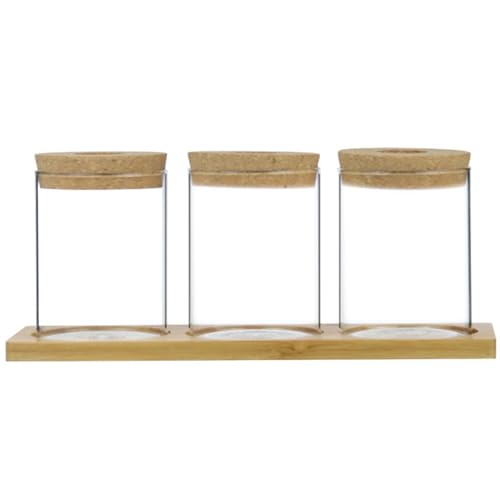 3pcs Pflanzen Terrarium Wasseranpflanzung Ausbreitungsgläser mit Tiefschubstierdeckel transparent minimalistische Propagationsstationen Anlagen -Propagationsstation für Tischtoilettenbalkone von OnIUeZky