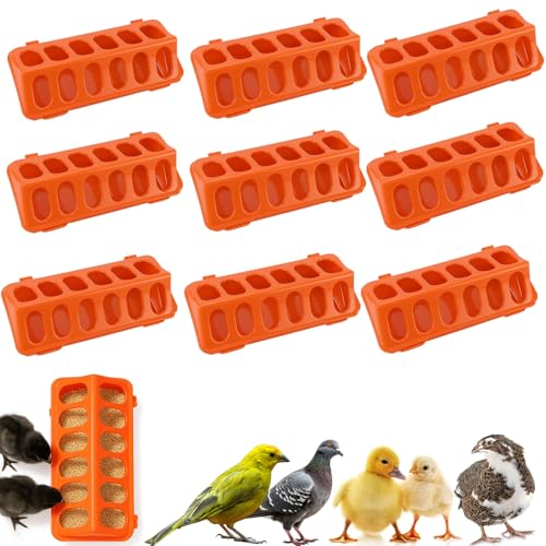 10 Stück Kunststoff Flip-Top Geflügel Feeder Tray - No Mess Küken Feeder für Baby Huhn, Wachtel, Entchen, Tauben - Auslaufsichere Brut Trog für kleine Vögel von Oncpcare