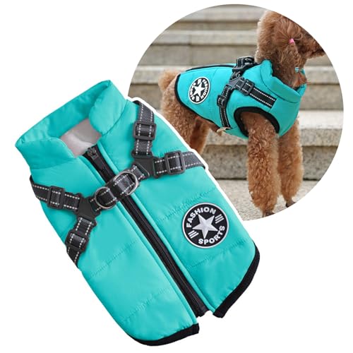 Hundejacke mit Geschirr für kleine Hunde, Hunde-Sportweste für draußen, warmer Haustierwintermantel für Katzen, Welpen, kleine Hunde, Aquamarin von Oncpcare