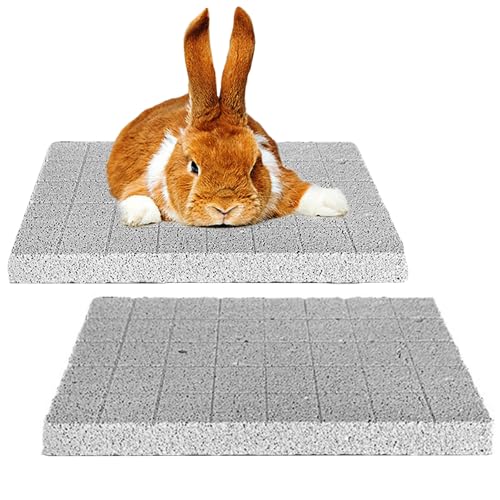 Oncpcare 2 x Kaninchen-Kratzpads, Hasen-Lava-Schleifkrallen, Nagelkratzer, Kleintier-Kauspielzeug für Rennmäuse, Chinchilla, Igel, Meerschweinchen, Frettchen, Käfig-Zubehör Oncpcare 2 x Kaninchen-Kratzpads, Hasen-Lava-Schleifkrallen, Nagelkratzer, Kleintier-Kauspielzeug für Rennmäuse, Chinchilla, Igel, Meerschweinchen, Frettchen, Käfig-Zubehör von Oncpcare