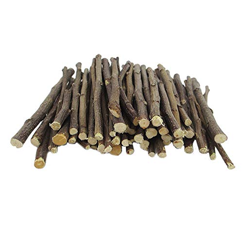 Oncpcare 400 g Apfelzweig-Sticks, natürliche organische Molaren-Haustier-Snacks, Hamster-Kauspielzeug für Meerschweinchen, Chinchilla, Eichhörnchen, Hasen, Ratten von Oncpcare