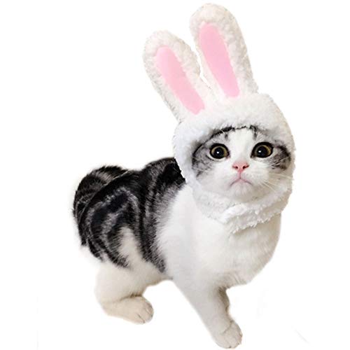 Oncpcare Neuheit Katze Kopfbedeckung Kostüm Niedlich Haustier Party Kostüm Zubehör Bunny Rabbit Hut mit Ohren für Katzen & kleine Hunde von Oncpcare