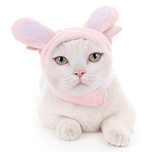 Oncpcare Neuheit Katze Kopfbedeckung Kostüm, niedliches Haustier Party Kostüm Zubehör Bunny Kaninchen Hut mit Ohren für Katzen & kleine Hunde von Oncpcare