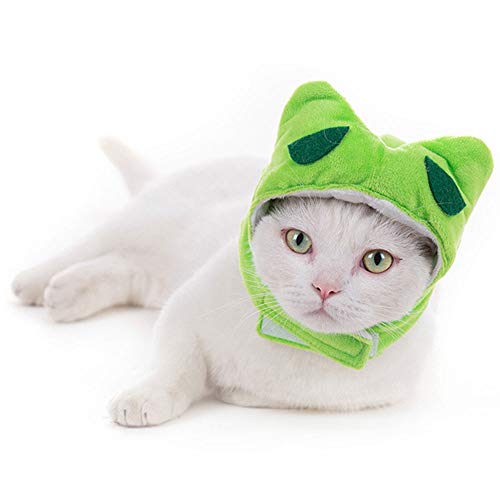 Oncpcare Katzen-Kopfbedeckung, süßes Haustierkostüm, Accessoire, Hasenhut mit Ohren für Katzen und kleine Hunde von Oncpcare