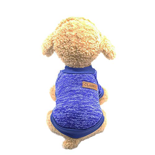 Oncpcare Klassisches Rollkragenhemd einfarbig Bequeme Hundebekleidung Schlichter stilvoller Hundepullover Noble Warm Hundekostüm Mode für Welpen und kleine Tiere im Herbst oder Winter von Oncpcare