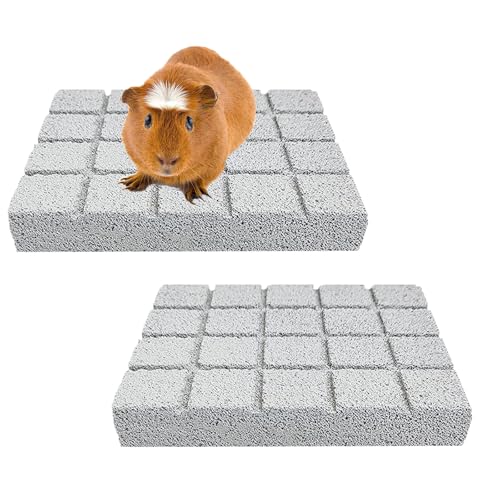 Oncpcare Kratzkissen für Meerschweinchen, Chinchilla-Zahnspielzeug, Kleintier-Fußpolster, Hamster-Kratzbrett, Kauspielzeug für Hamster, Chinchilla, Rennmäuse, Meerschweinchen, Käfigzubehör, 2 Stück Oncpcare Kratzkissen für Meerschweinchen, Chinchilla-Zahnspielzeug, Kleintier-Fußpolster, Hamster-Kratzbrett, Kauspielzeug für Hamster, Chinchilla, Rennmäuse, Meerschweinchen, Käfigzubehör, 2 Stück von Oncpcare