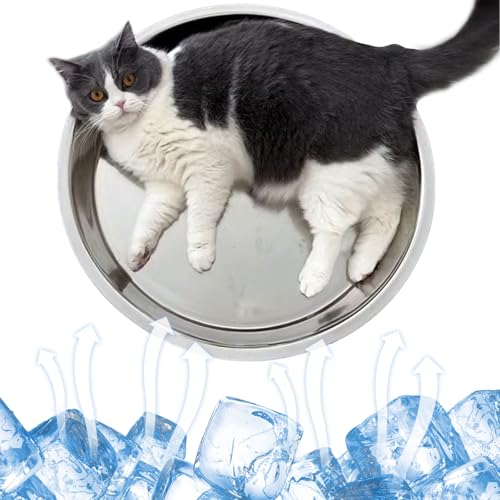 Oncpcare Kühlende Katzenbetten aus Metall für Indoor-Katzen, rundes Bett, 38,1 cm, wasserdichte Kühlpads für kleine Haustiere, selbstkühlende Matte, Eisbett, Tablett für Kaninchen, Katze Oncpcare Kühlende Katzenbetten aus Metall für Indoor-Katzen, rundes Bett, 38,1 cm, wasserdichte Kühlpads für kleine Haustiere, selbstkühlende Matte, Eisbett, Tablett für Kaninchen, Katze von Oncpcare