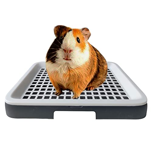 Oncpcare Meerschweinchenklo Pfanne mit Rost, Ratten-Klo für Käfig, Toilette, Ecktöpfchen, Kot-Trainer für Tiere, Chinchilla-Käfig-Zubehör Oncpcare Meerschweinchenklo Pfanne mit Rost, Ratten-Klo für Käfig, Toilette, Ecktöpfchen, Kot-Trainer für Tiere, Chinchilla-Käfig-Zubehör von Oncpcare