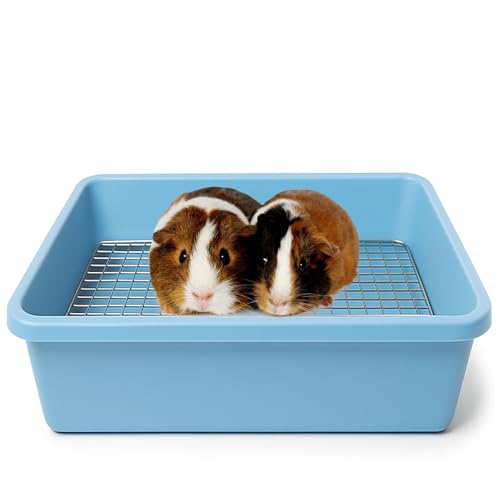 Oncpcare Meerschweinchentoilette mit Metallgitter, Kunststoff-Hasenklo für Kleintiere, Meerschweinchen, Frettchen, Ratten, ideal für Käfigtraining und einfache Reinigung, 38,1 x 30,5 x 10,2 cm, Blau von Oncpcare