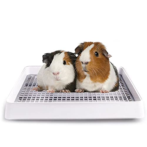 Oncpcare Meerschweinchentoilette mit Gitter, Kleintierklo für Käfig, Kaninchentoilette, Toilette, Töpfchentrainer für Frettchen, Chinchillas, Ratten, 38,1 x 30,5 cm Oncpcare Meerschweinchentoilette mit Gitter, Kleintierklo für Käfig, Kaninchentoilette, Toilette, Töpfchentrainer für Frettchen, Chinchillas, Ratten, 38,1 x 30,5 cm von Oncpcare
