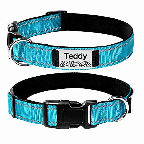 Oncpcare Personalisiertes Hundehalsband mit Namensschild, geräuschlos, individuelle Gravur, Haustier-ID-Tags, reflektierende Halsbänder, Training für kleine, mittelgroße und große Hunde Oncpcare Personalisiertes Hundehalsband mit Namensschild, geräuschlos, individuelle Gravur, Haustier-ID-Tags, reflektierende Halsbänder, Training für kleine, mittelgroße und große Hunde von Oncpcare
