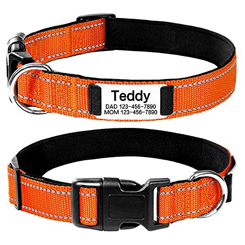 Oncpcare Personalisiertes Hundehalsband, reflektierend, individuell graviert, verstellbar, robustes Nylon-Halsband für kleine, mittelgroße und große Hunde Oncpcare Personalisiertes Hundehalsband, reflektierend, individuell graviert, verstellbar, robustes Nylon-Halsband für kleine, mittelgroße und große Hunde von Oncpcare