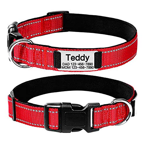 Oncpcare Personalisiertes Hundehalsband mit Namensschild, geräuschlos, individuelle Gravur, Haustier-ID-Tags, reflektierende Halsbänder, Training für kleine, mittelgroße und große Hunde Oncpcare Personalisiertes Hundehalsband mit Namensschild, geräuschlos, individuelle Gravur, Haustier-ID-Tags, reflektierende Halsbänder, Training für kleine, mittelgroße und große Hunde von Oncpcare