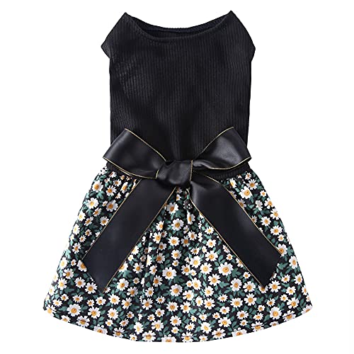 Oncpcare Pet-Tutu-Rock für Hunde und Katzen, für Hochzeiten, Sommerkleidung, mit Schleife, Schwarz Oncpcare Pet-Tutu-Rock für Hunde und Katzen, für Hochzeiten, Sommerkleidung, mit Schleife, Schwarz von Oncpcare