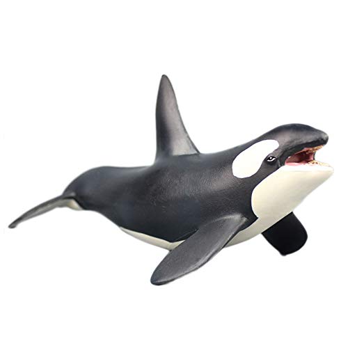 Orca Blackfish Aquarium Decor, The Strongest Fighter Killer Wal Figure Aquarium Ornament Fish Tank Landschaft Artificial Sea Life Replica Decoration Accessories Orca Blackfish Aquarium Decor, The Strongest Fighter Killer Wal Figure Aquarium Ornament Fish Tank Landschaft Artificial Sea Life Replica Decoration Accessories von Oncpcare