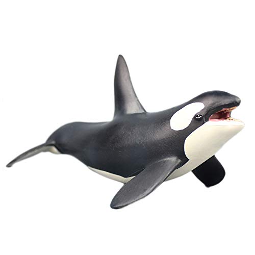 Orca Blackfish Aquarium Decor, The Strongest Fighter Killer Wal Figure Aquarium Ornament Fish Tank Landschaft Artificial Sea Life Replica Decoration Accessories von Oncpcare