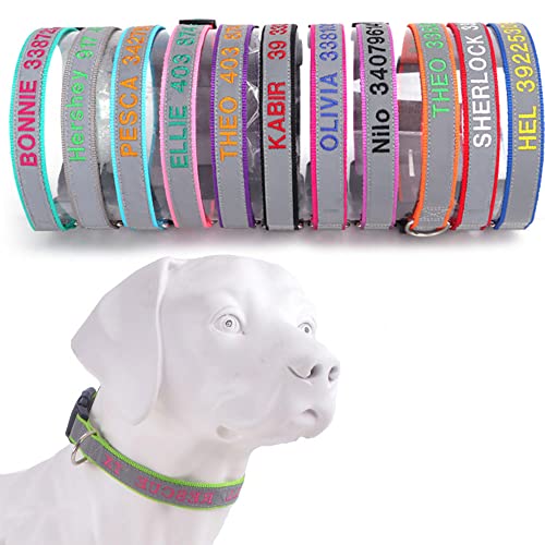 Reflektierendes, personalisiertes Hundehalsband, individuell bestickt mit Haustiernamen und Telefonnummer für Jungen und Mädchen, 4 verstellbare Größen, S, M, L und XL Reflektierendes, personalisiertes Hundehalsband, individuell bestickt mit Haustiernamen und Telefonnummer für Jungen und Mädchen, 4 verstellbare Größen, S, M, L und XL von Oncpcare
