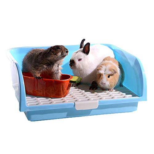 Oncpcare Super große Kaninchentoilette, kleine Tiertoilette, quadratisch, Kaninchentoilette, Meerschweinchentoilette, Haustiertoilette, Chinchilla, Töpfchentrainer (Blau) Oncpcare Super große Kaninchentoilette, kleine Tiertoilette, quadratisch, Kaninchentoilette, Meerschweinchentoilette, Haustiertoilette, Chinchilla, Töpfchentrainer (Blau) von Oncpcare
