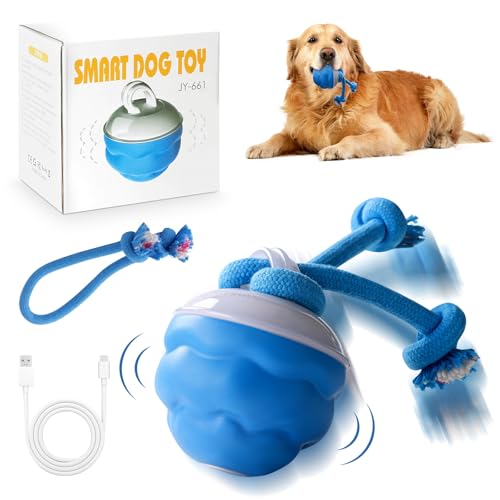 OneNine Hundespielzeug Ball Elektrisch 360° Smart Rolling Pet, Mit Nylon Seil und USB Wiederaufladbarer Interaktives Katzenspielzeug, für Hundeball und Katzenball Interaktiver Spielball von OneNine