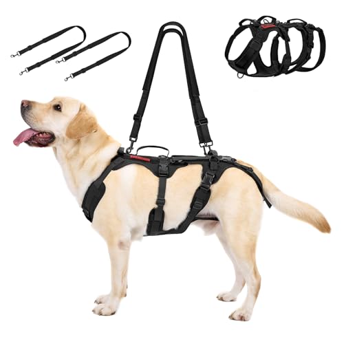OneTigris Hundegeschirr, Tragehilfe Hund groß Ganzkörper Mit 2 Schultergurte Abnehmbares, Hund Tragehilfe Verstellbare Rückenlänge für Rüden und Hündinnen,Sicherheitsgeschirr mit 3 Griffen,XL Schwarz OneTigris Hundegeschirr, Tragehilfe Hund groß Ganzkörper Mit 2 Schultergurte Abnehmbares, Hund Tragehilfe Verstellbare Rückenlänge für Rüden und Hündinnen,Sicherheitsgeschirr mit 3 Griffen,XL Schwarz von OneTigris