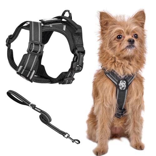 OneTigris Geschirr Set für Kleine Hunde, ANTZ Tactical Geschirre und Leine mit Lichtreflexband, Hundegeschirr mit Griff für Kleine, Mittelgroße Hunde wie Chihuahua, Yorkshire, Pomeranian, Schwarz XXXS OneTigris Geschirr Set für Kleine Hunde, ANTZ Tactical Geschirre und Leine mit Lichtreflexband, Hundegeschirr mit Griff für Kleine, Mittelgroße Hunde wie Chihuahua, Yorkshire, Pomeranian, Schwarz XXXS von OneTigris