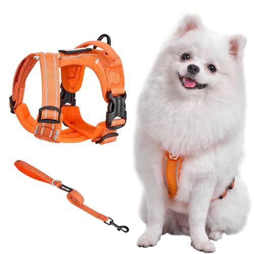 OneTigris Geschirr Set für Kleine Hunde, ANTZ Tactical Geschirre und Leine mit Lichtreflexband, Hundegeschirr mit Griff für Kleine, Mittelgroße Hunde wie Yorkshire, Corgi und Mops,Orange XXS OneTigris Geschirr Set für Kleine Hunde, ANTZ Tactical Geschirre und Leine mit Lichtreflexband, Hundegeschirr mit Griff für Kleine, Mittelgroße Hunde wie Yorkshire, Corgi und Mops,Orange XXS von OneTigris