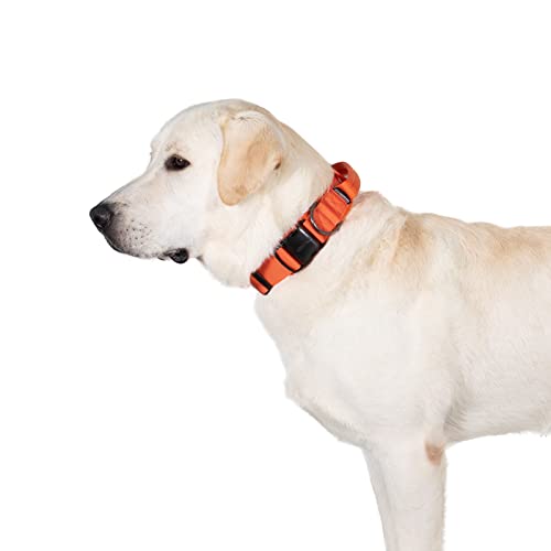 OneTigris Hunde Halsband mit Metallschnalle für Hunde (Orange, L) von OneTigris