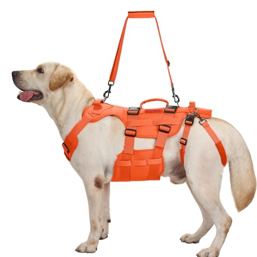 OneTigris Hundegeschirr, Invictus Hunde Tragehilfe für Mittelgroße Große, Einstellbar Gehhilfe für Hunde mit 3 Griffen für behinderte, verletzte oder ältere Orange L OneTigris Hundegeschirr, Invictus Hunde Tragehilfe für Mittelgroße Große, Einstellbar Gehhilfe für Hunde mit 3 Griffen für behinderte, verletzte oder ältere Orange L von OneTigris