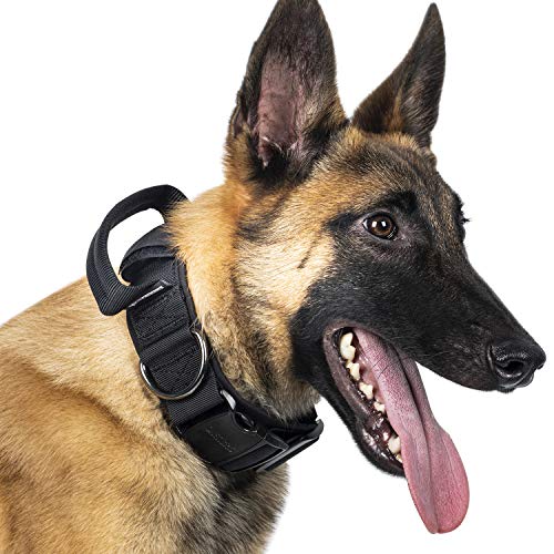 OneTigris Hunde Halsband mit Metallschnalle für Hunde (Schwarz, L) von OneTigris