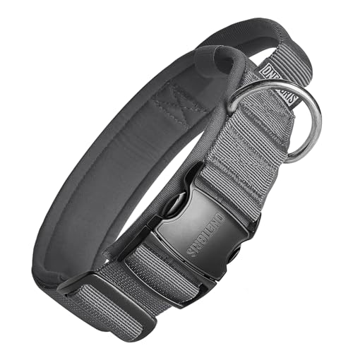 OneTigris Hunde Halsband mit Metallschnalle für Hunde Grau M OneTigris Hunde Halsband mit Metallschnalle für Hunde Grau M von OneTigris