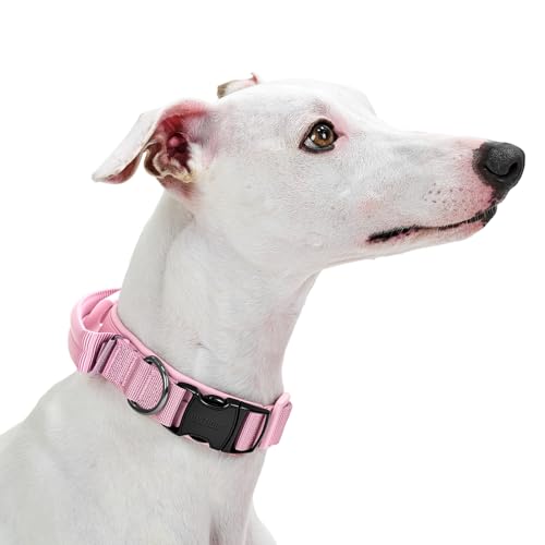 OneTigris Hunde Halsband mit Metallschnalle für Hunde Rosa S von OneTigris