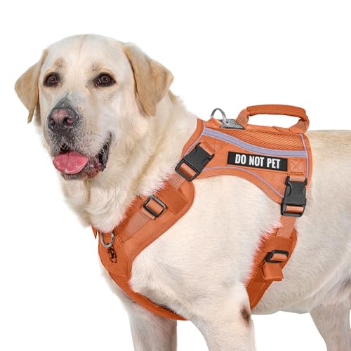 OneTigris Hundegeschirr, Boots Mesh Atmungsaktiv Geschirr Schnelltrocknend Brustgeschirr mit Reflektierendes, 2 D-Ringen, komfortablem Griff Sicherheitsgeschirr für Große/Mittlere Hunde - Orange L OneTigris Hundegeschirr, Boots Mesh Atmungsaktiv Geschirr Schnelltrocknend Brustgeschirr mit Reflektierendes, 2 D-Ringen, komfortablem Griff Sicherheitsgeschirr für Große/Mittlere Hunde - Orange L von OneTigris