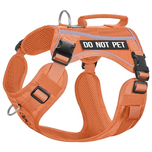 OneTigris Hundegeschirr, Boots Mesh Atmungsaktiv Geschirr Schnelltrocknend Brustgeschirr mit Reflektierendes, 2 D-Ringen, komfortablem Griff Sicherheitsgeschirr für Große/Mittlere Hunde - Orange M OneTigris Hundegeschirr, Boots Mesh Atmungsaktiv Geschirr Schnelltrocknend Brustgeschirr mit Reflektierendes, 2 D-Ringen, komfortablem Griff Sicherheitsgeschirr für Große/Mittlere Hunde - Orange M von OneTigris