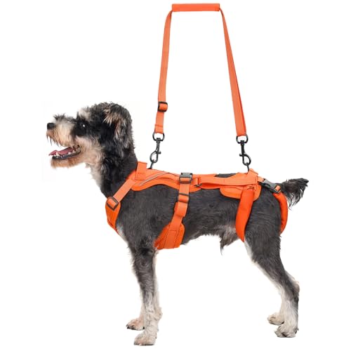 OneTigris Hundegeschirr, Hopper Kleines Unterstützung Geschirr Einstellbares Hebegeschirr mit 2 Griffen für Unterstützung und Rehabilitation Geeignet für Kleiner Hund Orange XS OneTigris Hundegeschirr, Hopper Kleines Unterstützung Geschirr Einstellbares Hebegeschirr mit 2 Griffen für Unterstützung und Rehabilitation Geeignet für Kleiner Hund Orange XS von OneTigris