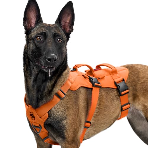 OneTigris Hundegeschirr, T-Bone Taktisches Geschirr mit 2 Griff Ausbruchsicher Einstellbar Brustgeschirr für Hunde Jagd Wandern Trainierung Spaziergang Outdoor-Aktivitäten (Orange, XL) von OneTigris
