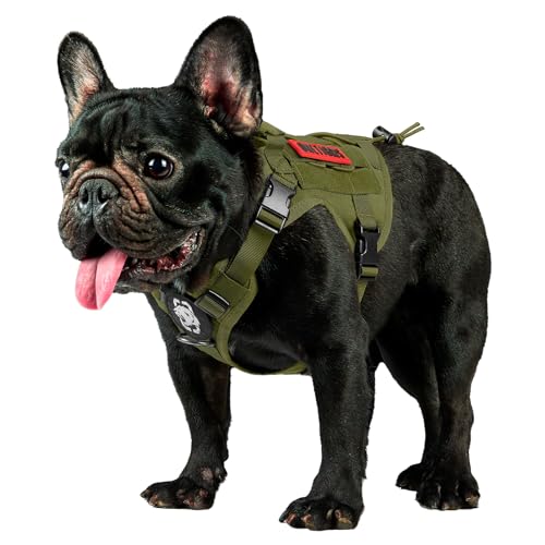 OneTigris Hundegeschirr, FIRE Watcher Taktische Geschirr MOLLE Sicherheitsgeschirr Service Hunde Hundeweste mit 1 Griffe und 2 No-Pull D-Ring 1000D Nylon (XXS, Grün) von OneTigris