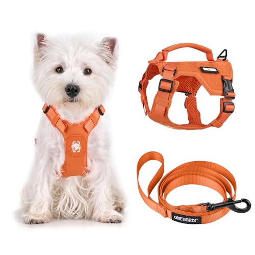 OneTigris Hundegeschirr Kleine Hunde mit Leine(150cm), MINI Trooper Welpengeschirr mit Steuergriff und 2 Abschlepppositionen für Kleine Hunde, Orange XXS von OneTigris