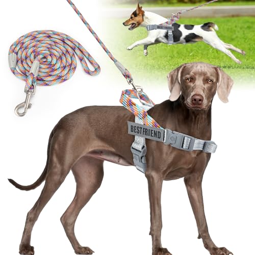 Onlyesh Hundegeschirr Mittelgroße Hunde, mit 1.5M hundeleine, Reflektierend, Verstellbares Hundegeschirr, Hundegeschirr mit Griff, No Pull Hundegeschirr Geeignet zum Gehen, Laufen, Trainieren, M von Onlyesh