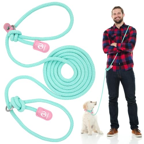 Onlyesh Hundeleine 3m Verstellbar, Freihändige Hundeleine, Joggingleine Nylon-für kleine, mittelgroße Hunde, für Hunde bis 10kg, für Laufen und Training Onlyesh Hundeleine 3m Verstellbar, Freihändige Hundeleine, Joggingleine Nylon-für kleine, mittelgroße Hunde, für Hunde bis 10kg, für Laufen und Training von Onlyesh